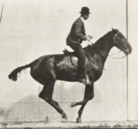 Plate 636 'Daisy' jumping hurdle, saddled, preparing for the leap — figure reference